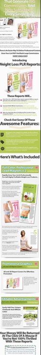 Professional Weight Loss PLR Reports