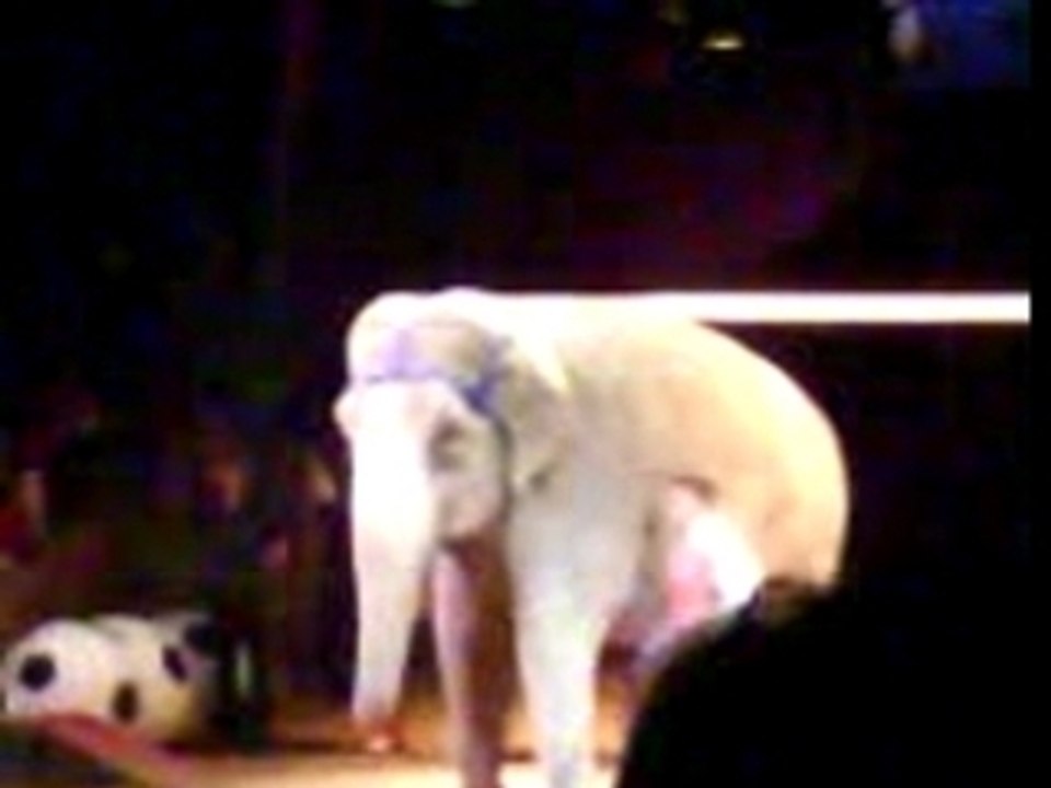 Cirque Gruss 03-12 - Eléphant