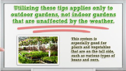 How To Start A Vegetable Garden Of Your Very Own