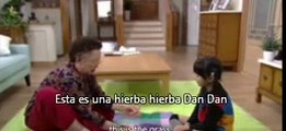 La Familia Wang (sub español) cap 17(2/2)