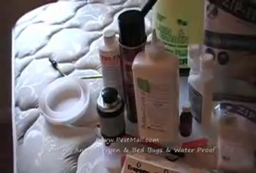 How to Use Professional Bed Bug Powder