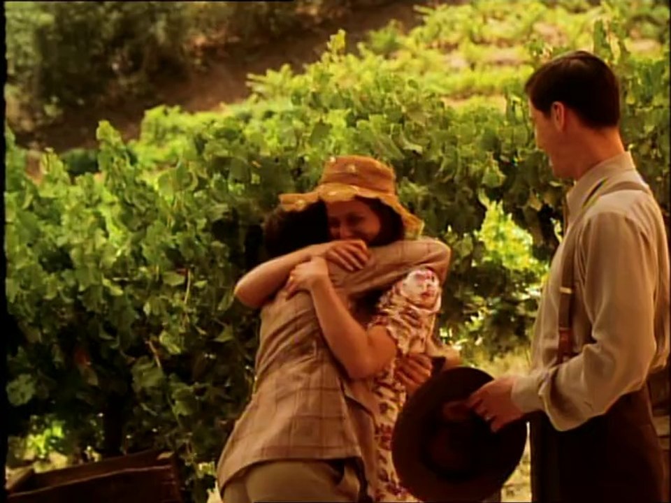 Bande Annonce - Les vendanges de feu.