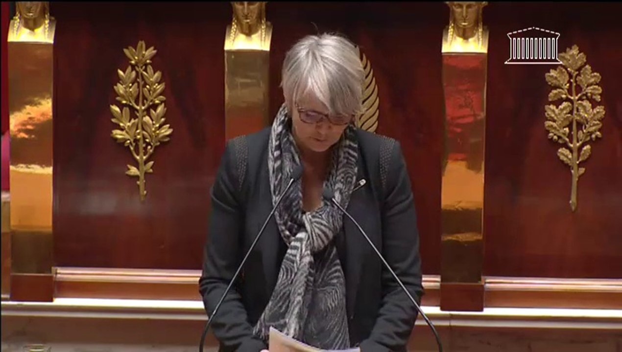 Véronique Massonneau - Discussion générale - Proposition de loi tendant à l'encadrement des stages