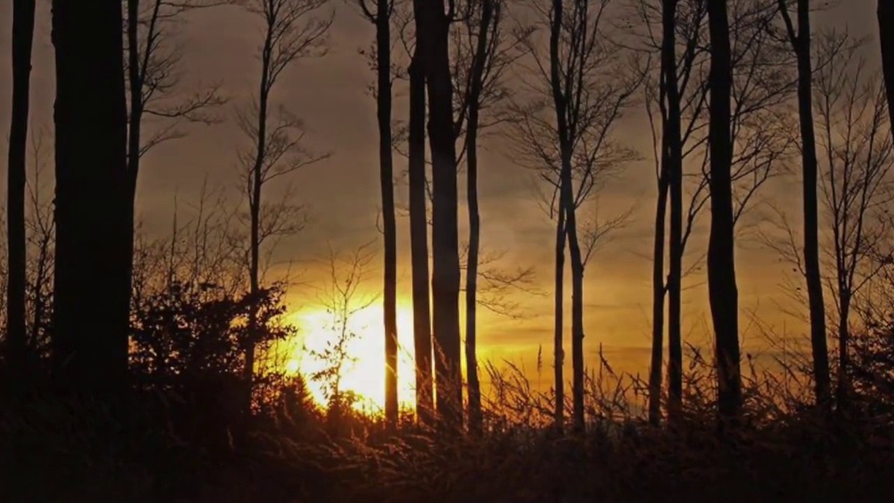 Romantic Piano Melody