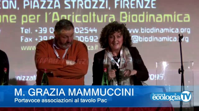 ALLEANZE - Lavorare insieme per il futuro della terra