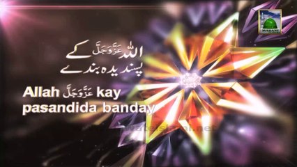 Allah Kay Pasandeedah Banday Ep 08 - Ehsaan Karnay Walay