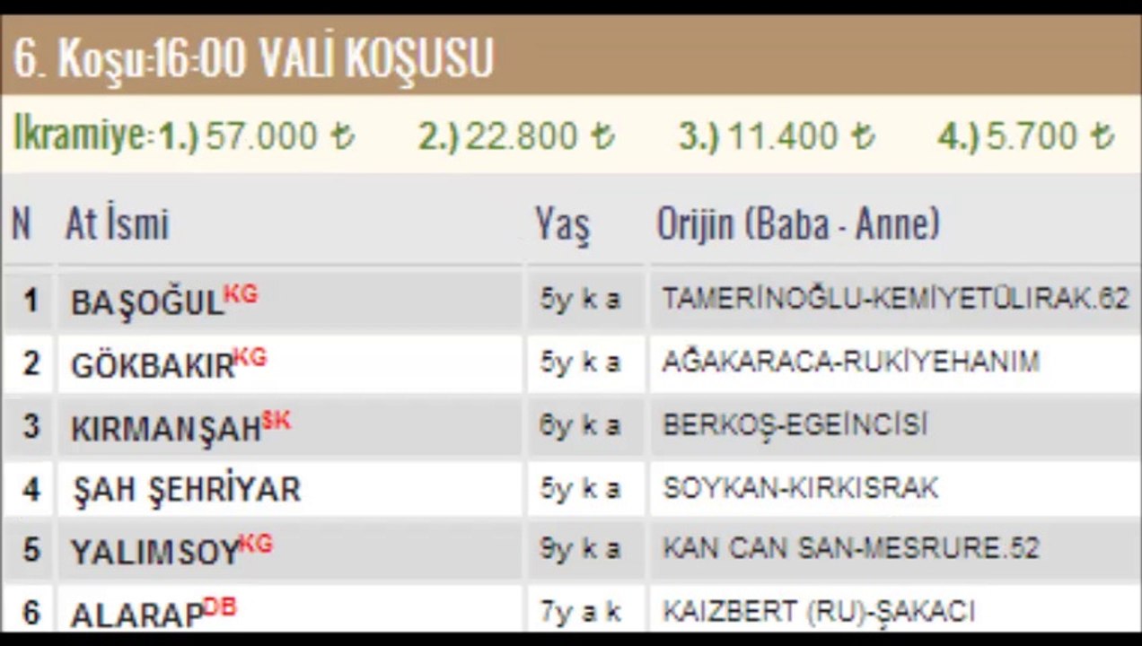 kocaeli yarışları