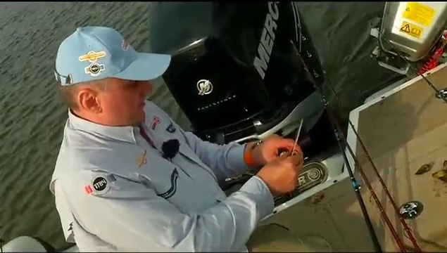 Охота на волжского сома