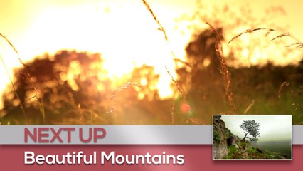 Sony Vegas Project Template: YouTube Channel Promo