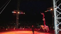 Sin-le-Noble : Dans les coulisses du cirque éducatif