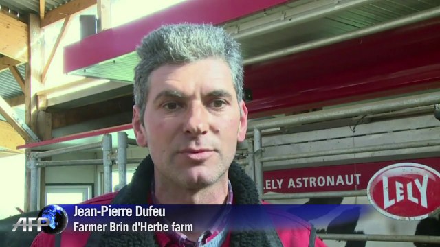 France's farmers treat their cows to high-tech milking