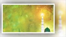 ▶ Allah Allah Amina Bibi Ke Gulshan Mein - Owais Raza Qadri New Naat Album - www.todaypk.com