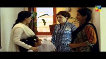 Mohabbat Subh Ka Sitaara Hai Episode 11 HUM TV - PakDramasOnline.Net