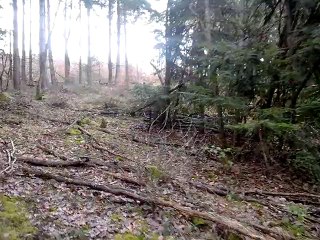 1ère sortie au parc sanglier des i