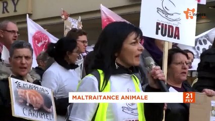 JT FEVRIER 2014 [S.2] [E.15] - Le Journal du vendredi 21 février