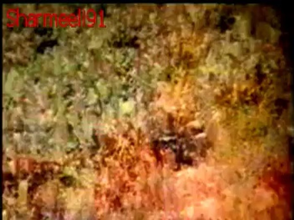 Choo Lay Agar "Jeeva" (1995) Resham Babar Ali