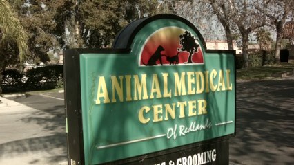 Welcome to Animal Medical Center of Redlands