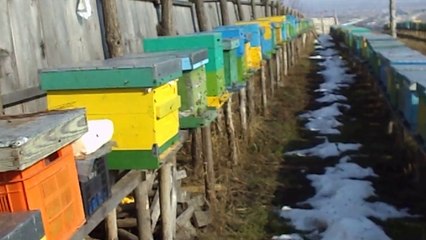 Zbor de curatire 18.02.2014.