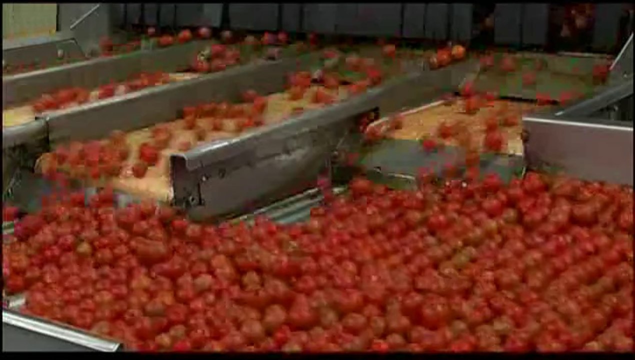 Noi Hranim Lumea (Prima parte)