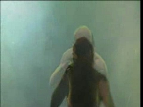 Die Apokalyptischen Reiter