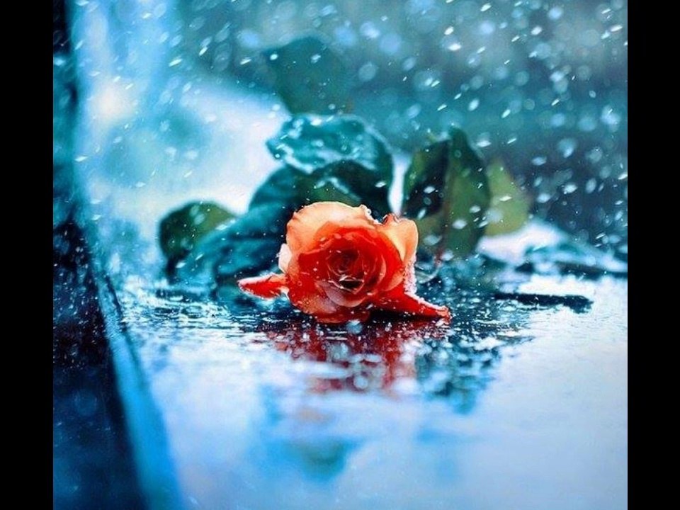 Muharrem Küçük&Sen yoksun ya