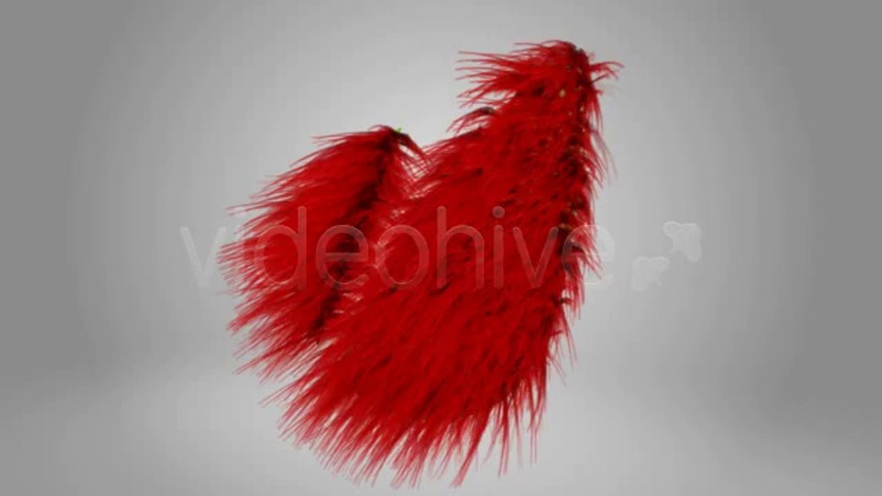 AE Hair Fur - After Effects Template