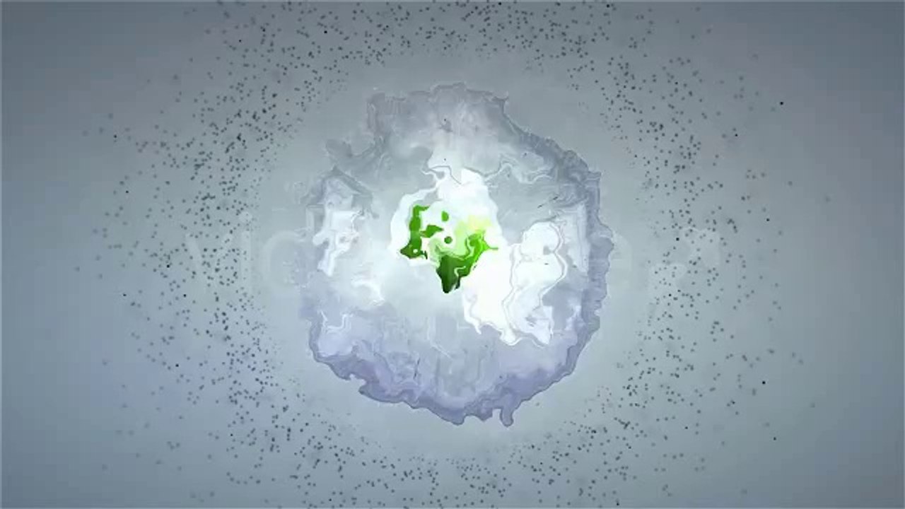 Micro - After Effects Template