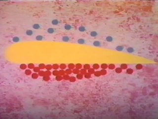 How Airplanes Fly (1968)