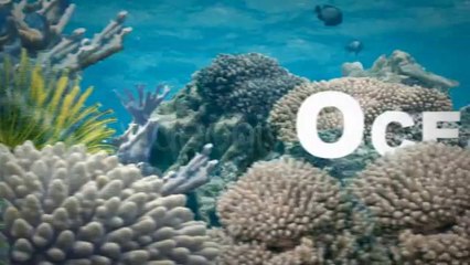 Landscapes of Earth - After Effects Template