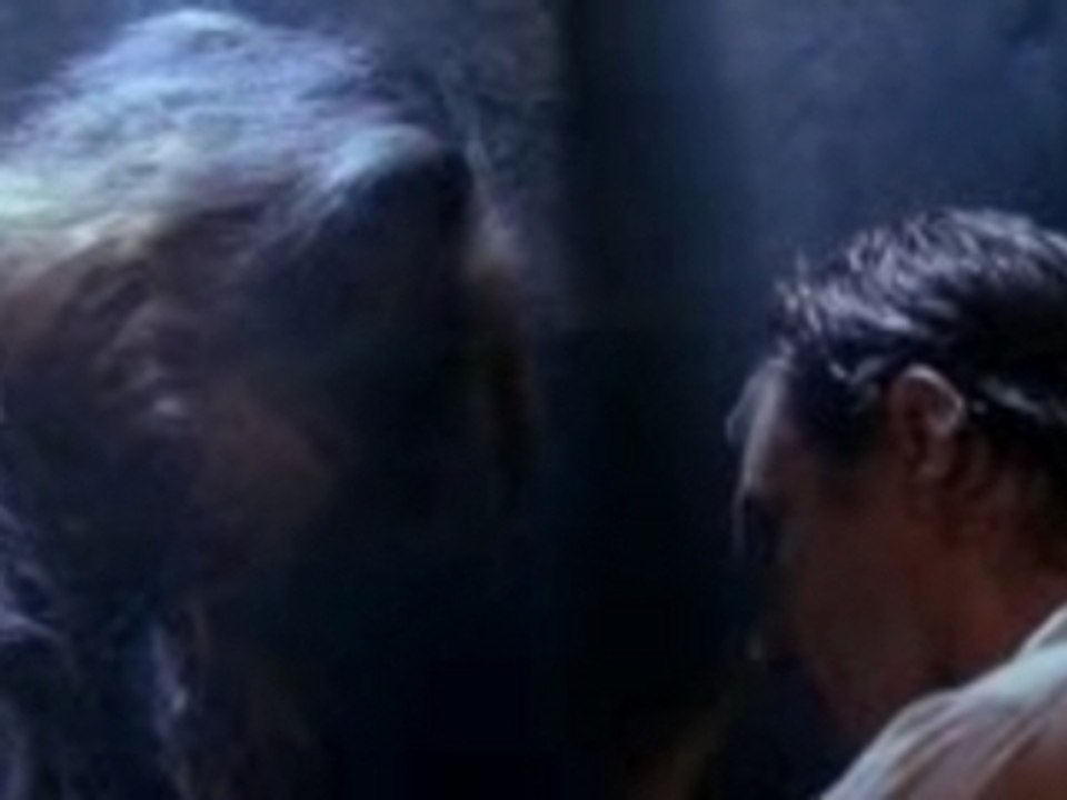 Chewbacca se sent solo