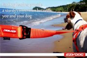 dog training collars