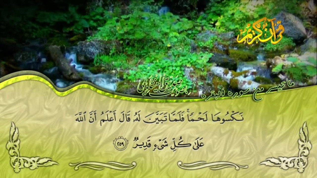 اواخر سورة البقرة بصوت القارئ صديق المنشاوي