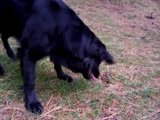 Kylan rencontre Tekos