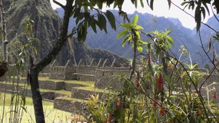 Pérou: Machu Picchu