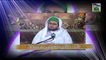 Watch Islamic Bayan of Mufti Qasim Attari Satuday at 5:00 pm PKT