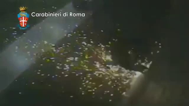 Roma - Furti in gioiellerie (21.02.14)