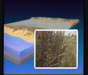Le Littoral du Languedoc-Roussillon un espace fragile