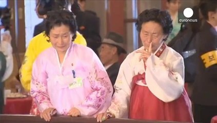 North and South Korea hold rare family reunion