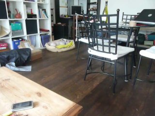 April fait la fofolle et joue-mercredi