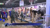 François Hollande inaugure le Salon de l'agriculture