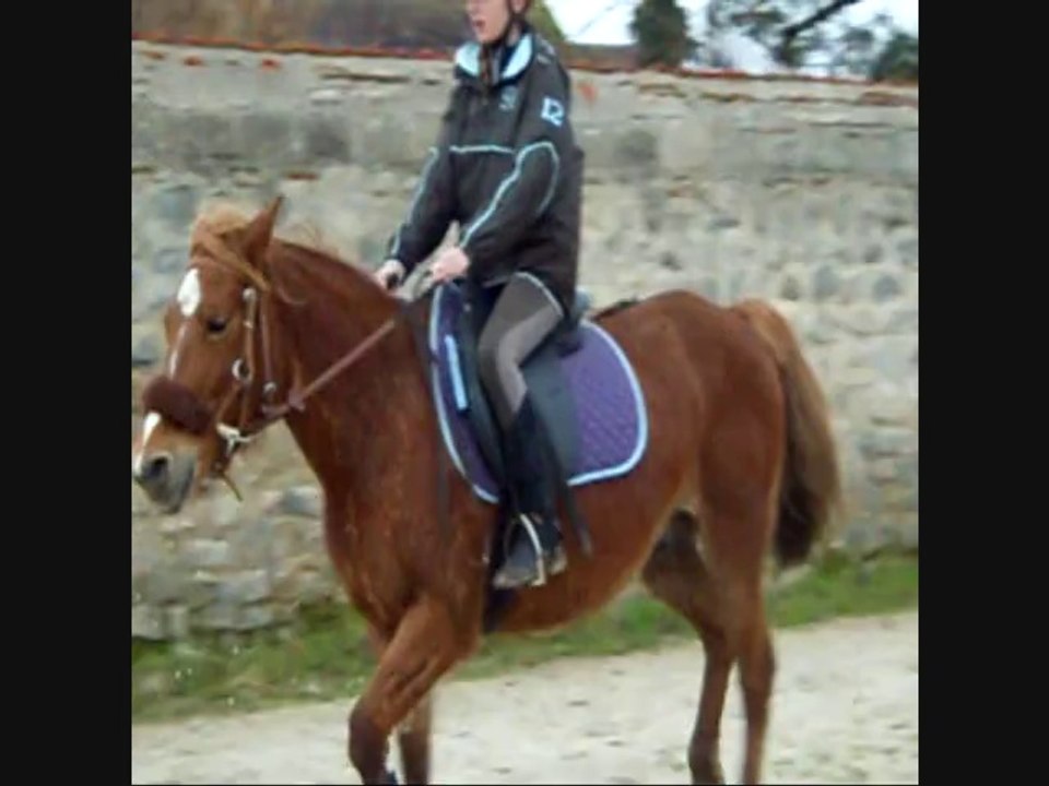 Parcours de CSO de Tequilla et Emilie du 19/02/2014