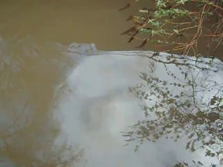 L'Orge souillée, plaques et odeur d'essence !