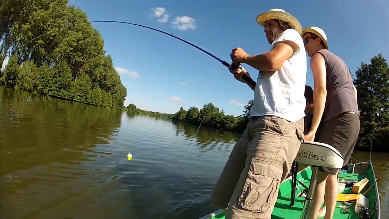 Combats de silures en bateau et float-tube