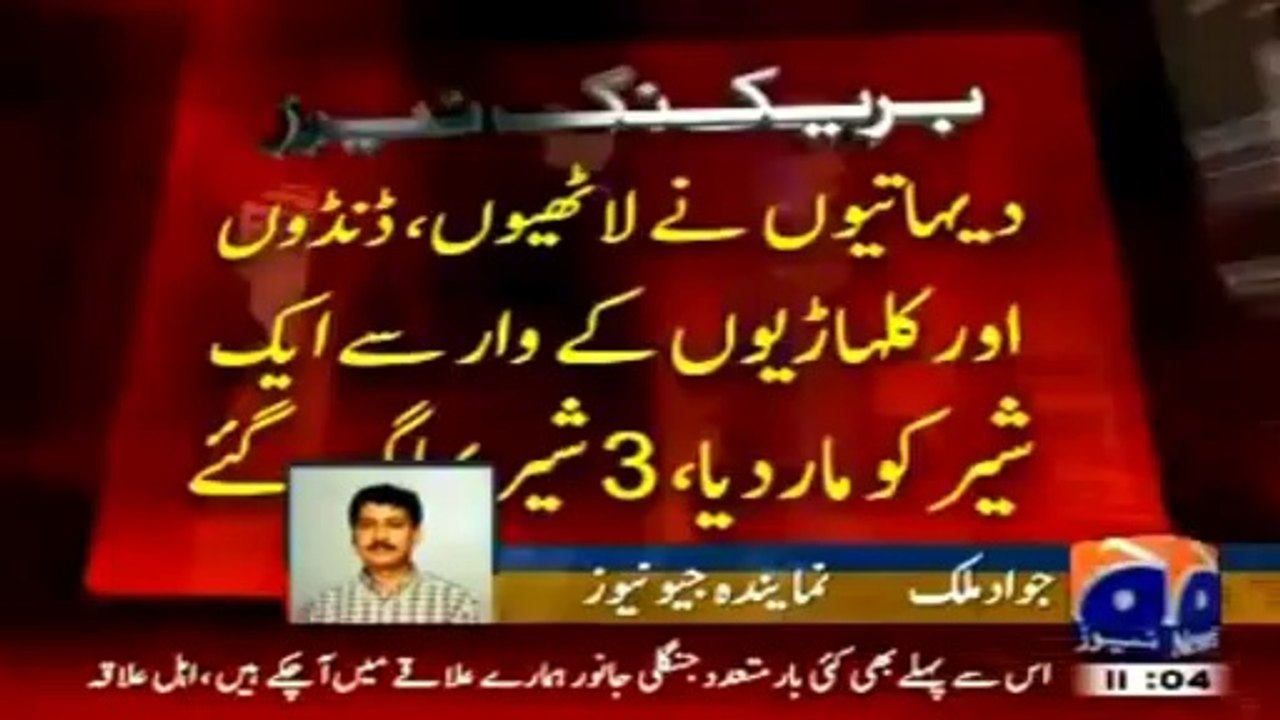 4 tigers in India at Lahore entered Pakistani airspace limits
