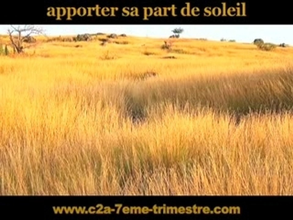 Apporter sa part de Soleil - Aperçu
