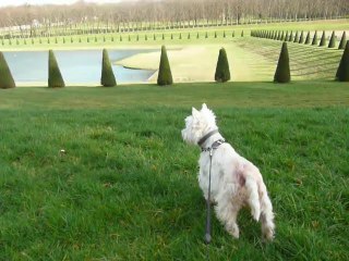 April voit des enfants au parc de marly