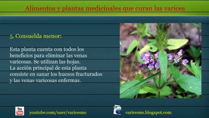 Plantas medicinales y alimentacion para curar las varices