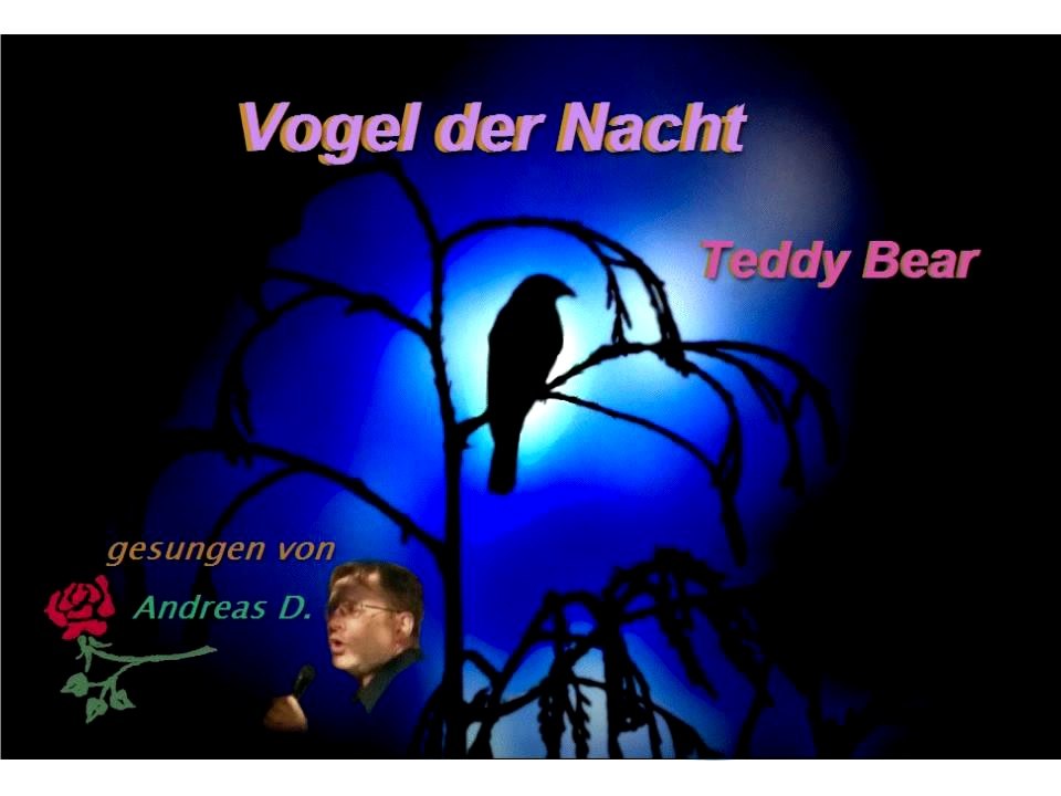 Vogel der Nacht - Teddy Bear