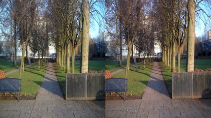 Randolph Sutton - Mucking About The Garden (Edison Bell Radio, 1929)