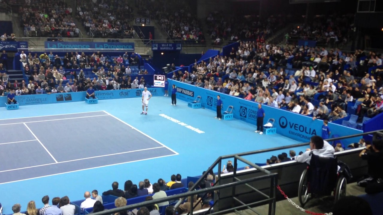 Insolite : une chauve-souris à l'Open 13 !